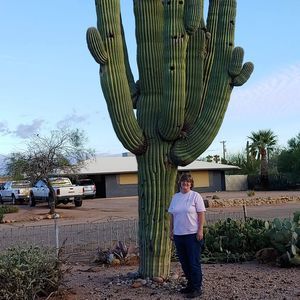 Meet your Posher, Diana